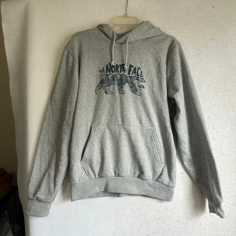 The North Face Mens Circular Design Bear Mountain Graphic Hoodie Gray Small